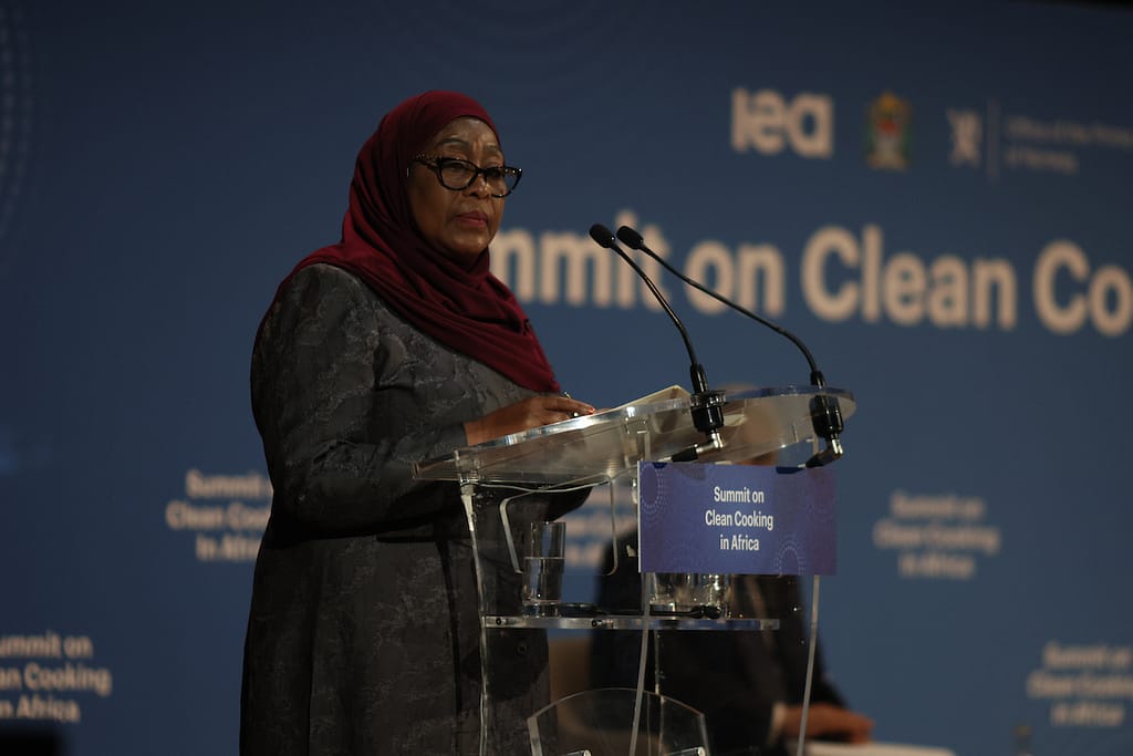 H.E. Dr. Samia Suluhu Hassan, President United Republic of Tanzania
Copyright
International Energy Agency