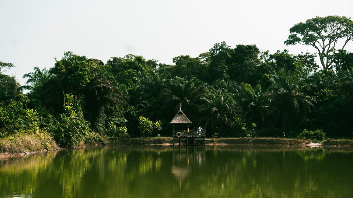 Debt-for-Nature Swaps and Their Potential to Address Nigeria’s Environmental Challenges