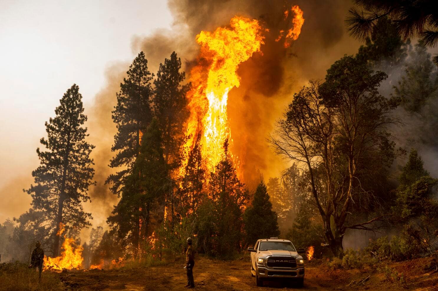 Almost 40% of land burned by western wildfires can be traced to carbon emissions