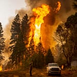 Almost 40% of land burned by western wildfires can be traced to carbon emissions
