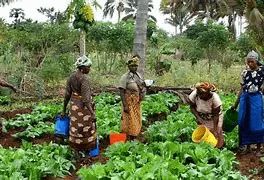 Women’s Empowerment in Agriculture: Driving Agri-Business Success