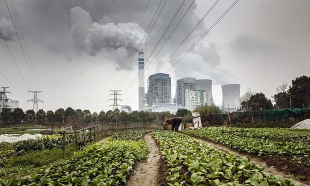 A man tends to vegetables in a field as emissions rise from cooling towers at a coal-fired power station in Tongling, Anhui province, China Photograph: Bloomberg/Getty