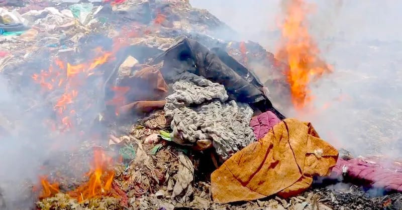 Clothing Financial and Environmental Crimes